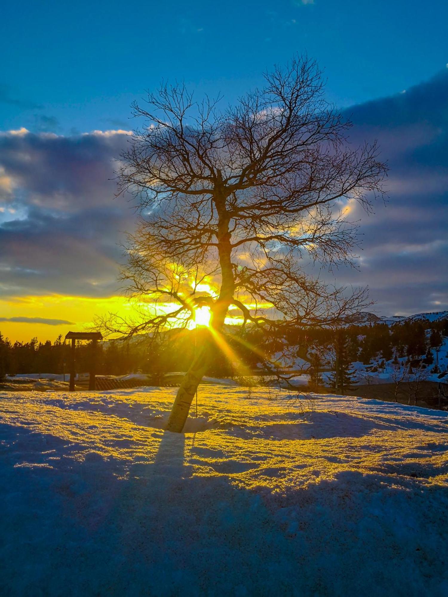 ホテル Lifjellstua エクステリア 写真