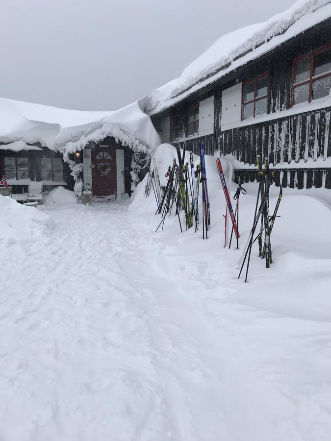 ホテル Lifjellstua エクステリア 写真